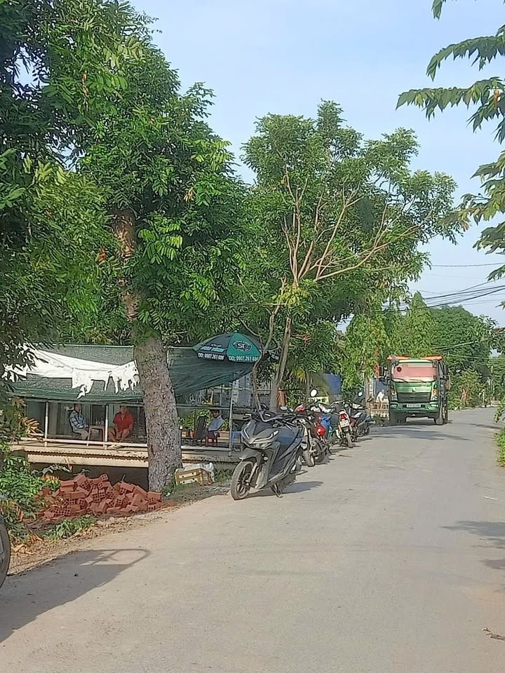 Đất vườn mặt tiền đường Tập Đoàn 16, Bình Chánh, 116m² - Đầu tư sinh lời ngay!