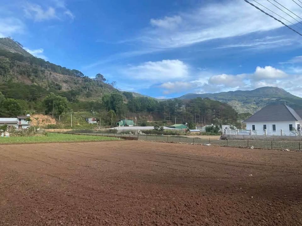 Đất Hiệp An, Đức Trọng 6600m² giá 14 tỷ - Cơ hội đầu tư tuyệt vời!