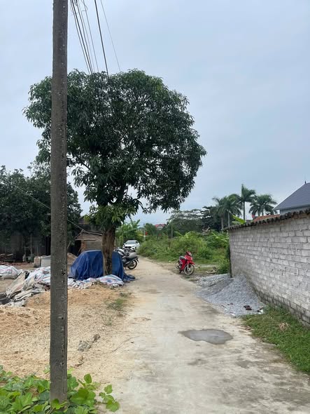 Đất thổ cư 75m² tại Thôn Đọ, Cương Sơn, Lục Nam - Giá chỉ 500 triệu