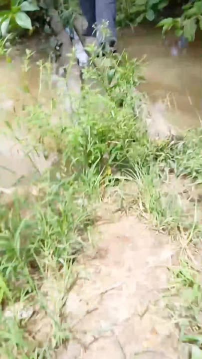 Đất ruộng 20.000m² xã Mỹ Quý, Tháp Mười giá 4 tỷ - Cơ hội đầu tư tuyệt vời!