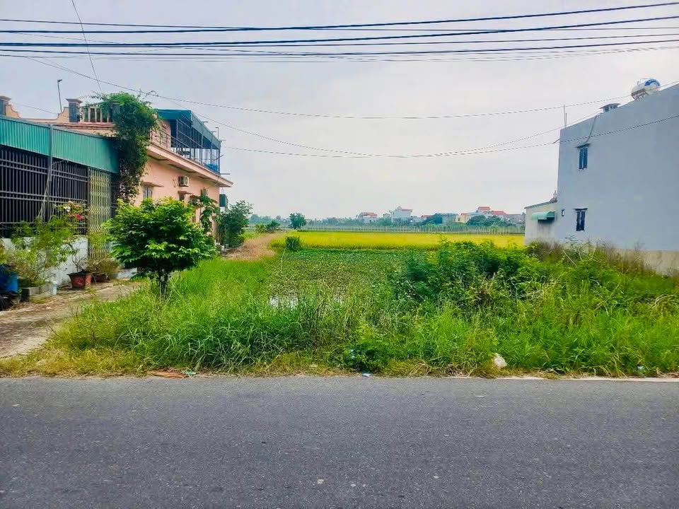 Đất nền An Ninh, Tiền Hải 250m² - Mặt tiền 10m, kinh doanh sầm uất!