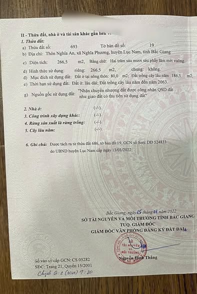 Đất nền Nghĩa Phương, Lục Nam, Bắc Giang 266m² chỉ 700 triệu - Đường rộng thuận tiện!