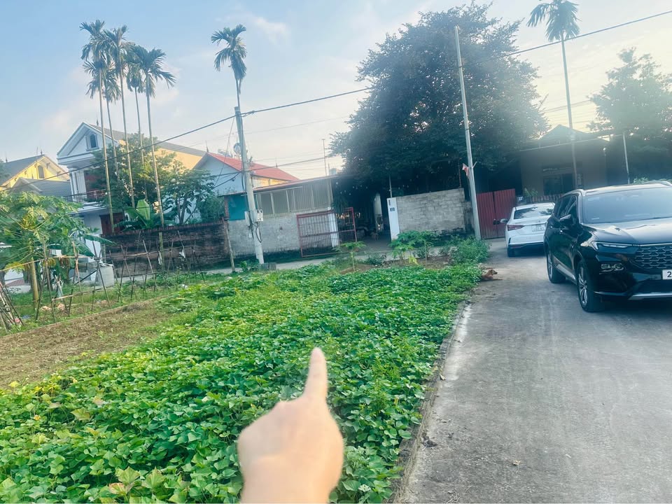 Đất nền lô góc Sen Phương 51m² giá 3.06 tỷ - Vị trí tiềm năng cực đẹp!