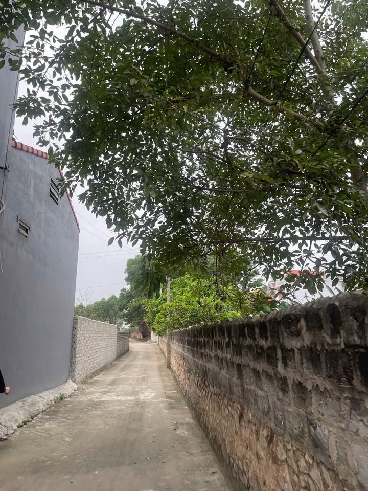 Đất nền Lan Mẫu, Yên Dũng 854m² giá 2 tỷ - Cơ hội đầu tư không thể bỏ lỡ!