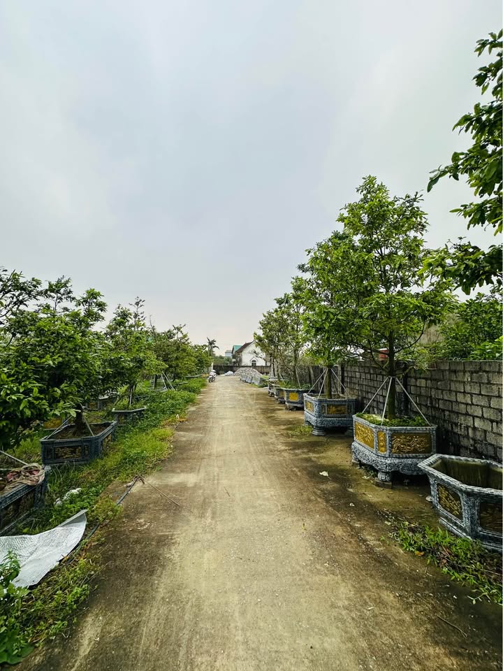 Đất nền Vinh Lộc 100m² giá 1.69 tỷ - Đầu tư sinh lời ngay!