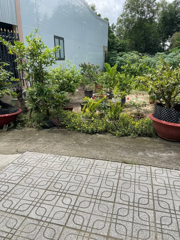 Đất Nhơn Trạch Phú Hội 128m² giá 500 triệu - Cơ hội đầu tư tuyệt vời!