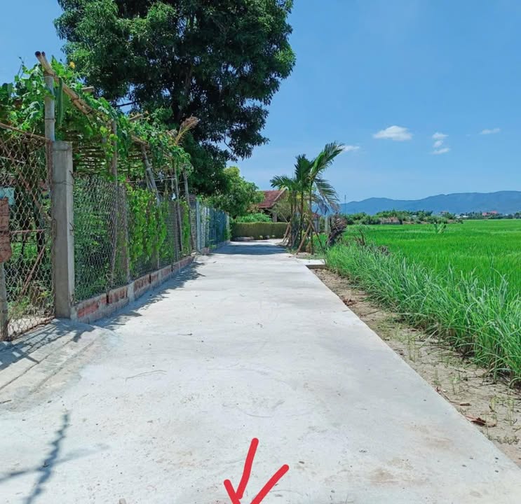 Đất thổ cư thôn Lương Lộc, xã Phước Hưng, 80m² - Giá chỉ 200 triệu VND!