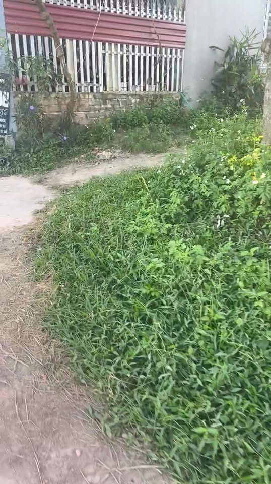 Đất nền xã Hồng Kỳ, huyện Yên Thế, Bắc Giang 201m² giá 550 triệu - Sổ hồng chính chủ!