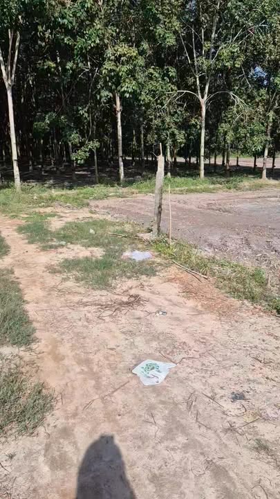 Đất thổ cư 528m² tại Ấp 1, Xã Châu Thành - Giá chỉ 4xx triệu, cơ hội đầu tư hấp dẫn!