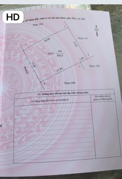 Đất phân lô thôn Cổ Loan Hạ 1, Ninh Tiến, 300m² - Đường bê tông rộng rãi, vị trí đẹp!