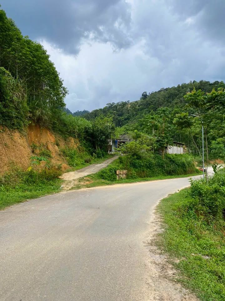 Đất Farm 30,000m² tại Đổng Xá, Na Rì - Sổ đỏ chính chủ, giá tốt!