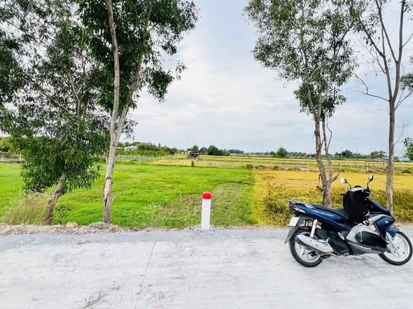 Đất lúa mặt tiền đường Bê tông xã Tân An Hội Củ Chi 604m² giá 1.2 tỷ - Cơ hội đầu tư tuyệt vời!