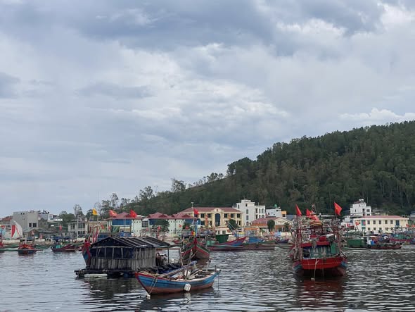 Đất 3 mặt tiền xã đảo Nghi Sơn 74m² giá 3.8 tỷ - Cơ hội đầu tư vàng!