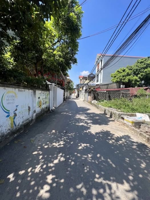 Đất nền Phú Lương Hà Đông 41m² giá 4.2 tỷ - Hiếm có cơ hội đầu tư!