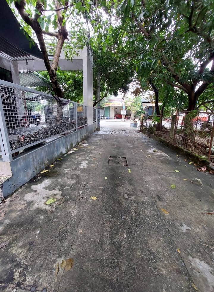 Đất nền 62m² đường Tô Hiệu, quận Liên Chiểu, giá 3.85 tỷ - Hướng Đông, thương lượng tốt!