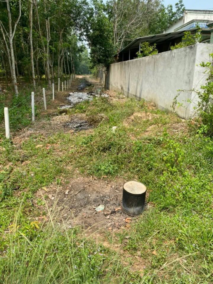 Đất nền Long Nguyên Bàu Bàng 318m² giá 800 triệu - Pháp lý rõ ràng, thổ cư 100%!