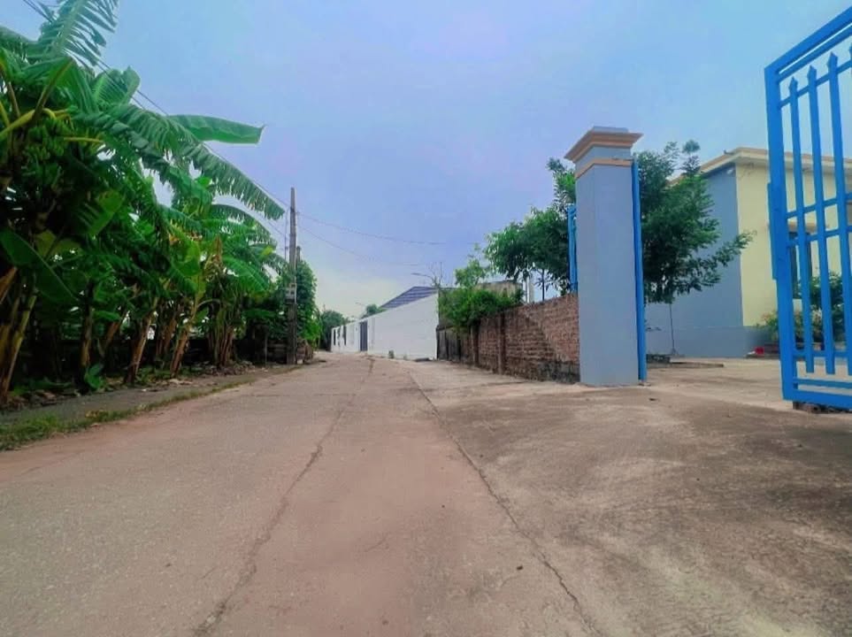 Đất nền xã Nam Phú, Tiền Hải 110m² - Mặt tiền rộng, giá tốt thương lượng!