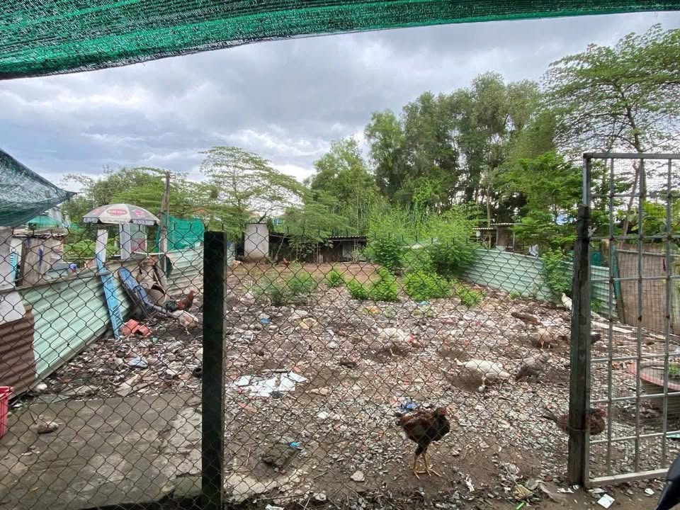 Đất ở đô thị P5 Tân An 195.5m² giá 1.35 tỷ - Cơ hội đầu tư không thể bỏ lỡ!