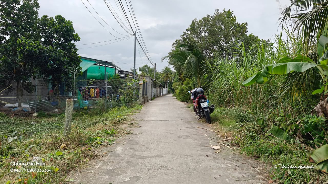 Đất nền thổ cư 350m² tại Thới Hoà C, Ô Môn - Giá chỉ 990 triệu!