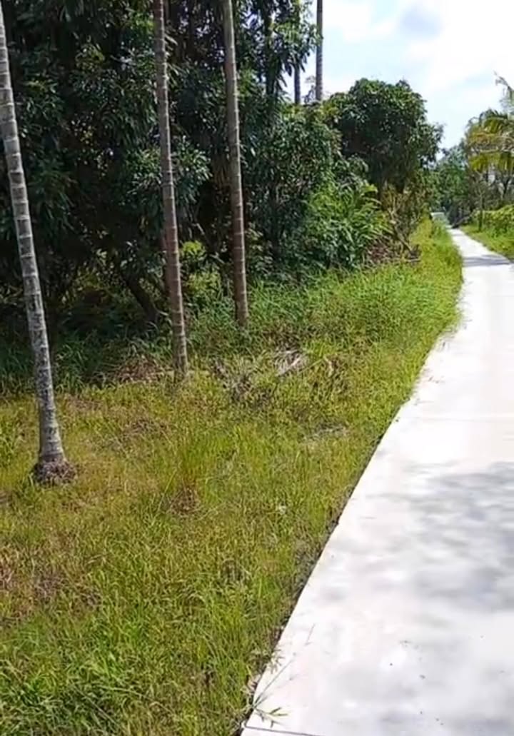 Đất nền Trường Long, Phong Điền 1000m² giá 580 triệu - Mặt tiền 40m, sổ hồng chính chủ!