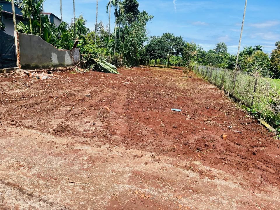 Đất nền Tân Lập, Buôn Ma Thuột 943m² giá 943 triệu - Cơ hội đầu tư tuyệt vời!