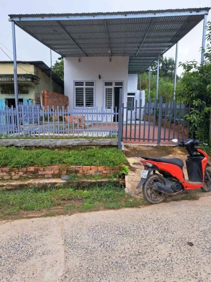 Đất nền Tổ dân phố Lâm Tuyền 2, D'Ran 196m² giá 1.1 tỷ - Cơ hội đầu tư hấp dẫn!