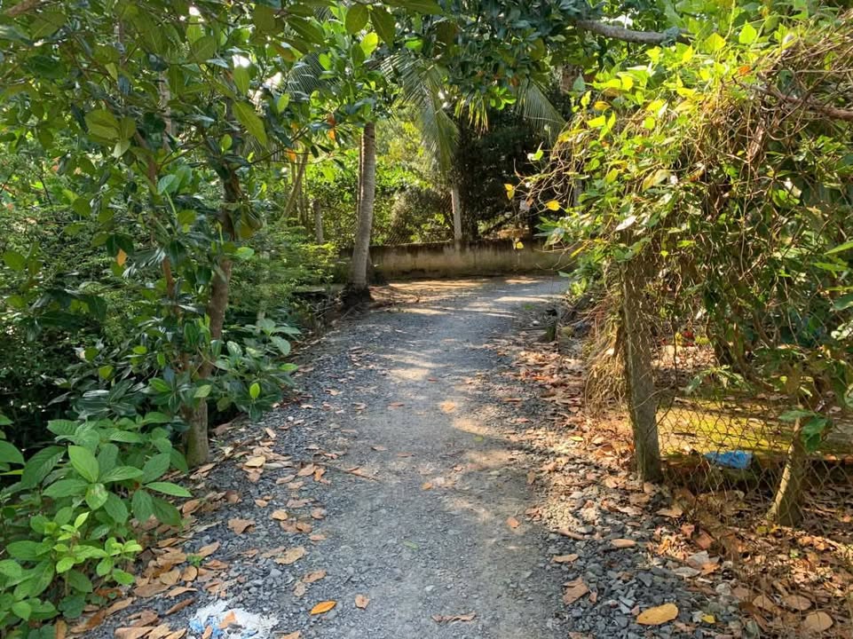 Nhà mặt tiền đường ô tô 100m² giá 580 triệu - Sổ đỏ chính chủ, bao giấy tờ!