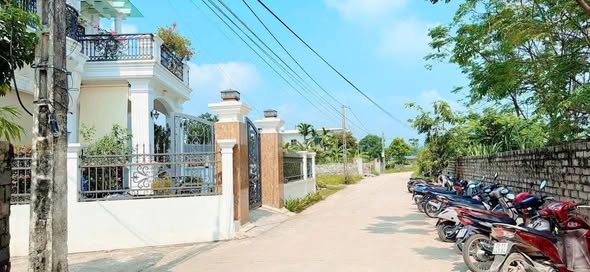 Đất nền Tuy Lai, Mỹ Đức 110m² giá chỉ 1x triệu - Cơ hội đầu tư tuyệt vời!