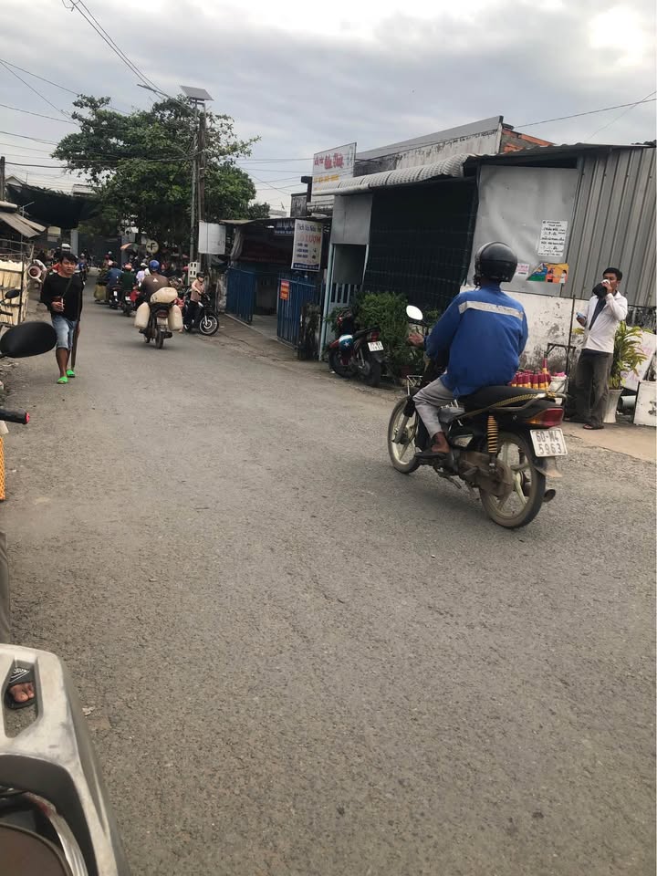 Đất trồng cây tại Tiên Thủy 1000m² giá 500 triệu - Sổ hồng chính chủ