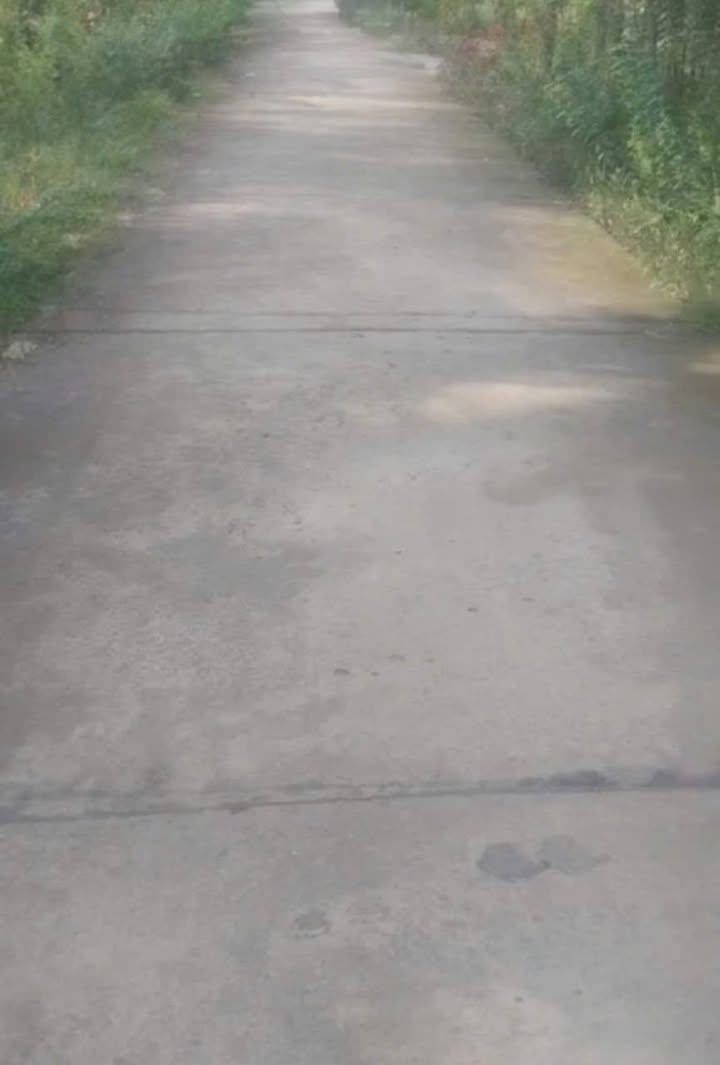 Đất vườn dừa Định Thủy, Mỏ Cày Nam 34.000m² giá 450 triệu - Đầu tư sinh lời hấp dẫn!