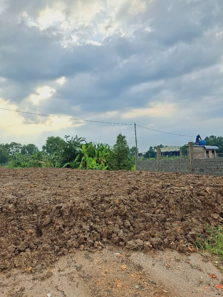 Đất mặt tiền đường xe tải Tân Vĩnh Lộc, Bình Chánh 6248m² giá chỉ 22.5 tỷ - Cơ hội đầu tư hấp dẫn!