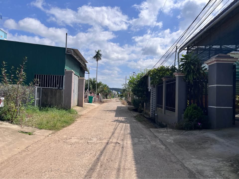 Đất nền Phú Hội Tân Phú 130m² giá 779 triệu - Sổ đỏ chính chủ, cơ hội đầu tư tốt!