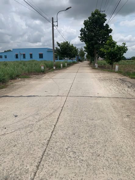 Đất Lúa đã lên nền Cần Giuộc 896m² giá 1.5 tỷ - Cơ hội đầu tư hấp dẫn!