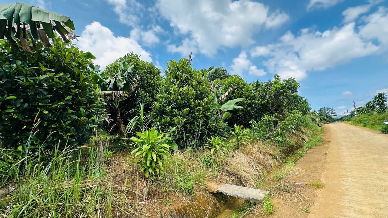 Đất nền Lộc Đức Bảo Lâm 600m² giá 1.2 tỷ - Sổ hồng chính chủ, thương lượng ngay!