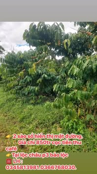 Đất nền Lộc Châu Bảo Lộc 720m² giá 850 triệu - Sổ đỏ chính chủ!