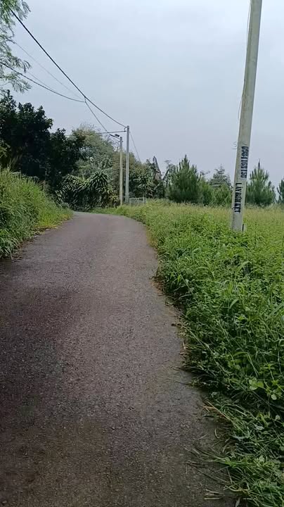 Đất nền thổ cư Bảo Lâm 175m² giá 600 triệu - Cơ hội đầu tư tuyệt vời!