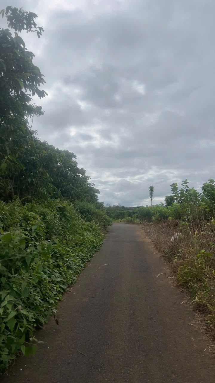 Đất mặt tiền Hẻm 89 Phùng Hưng, Lộc Tiến 302m² giá chỉ 2.5 tỷ - Cơ hội đầu tư tuyệt vời!