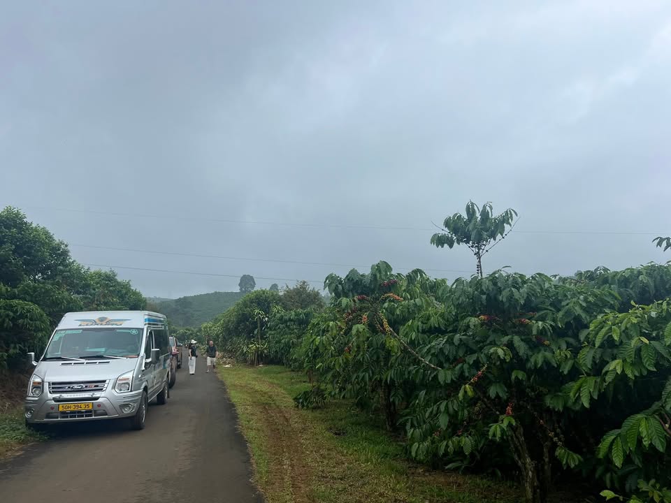 Đất Lộc Nga Bảo Lộc 1188m² giá thỏa thuận - Mặt tiền nhựa 35m thuận tiện kinh doanh!