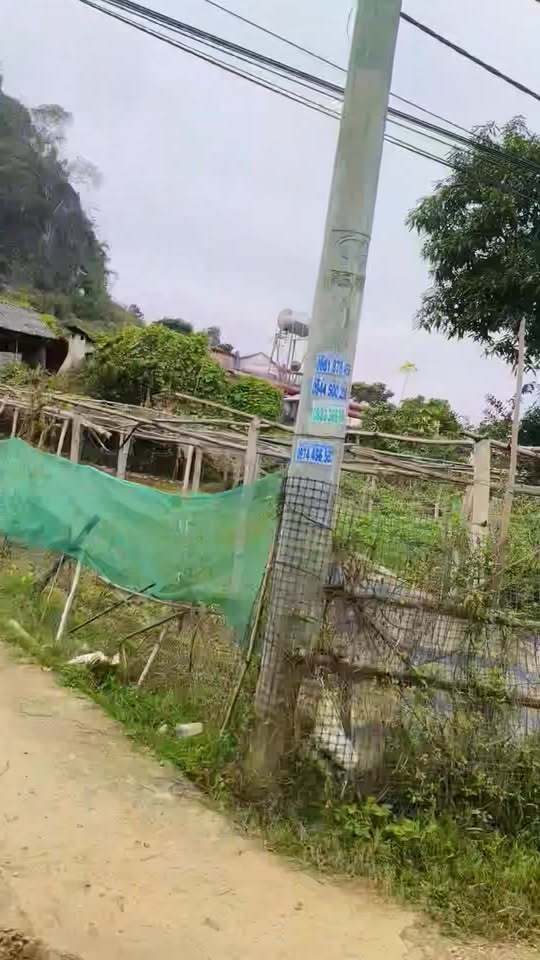 Đất nền chính chủ tại Tổ 17, phường Chiềng Sinh 200m² giá 1.255 tỷ - Đầu tư sinh lời ngay!