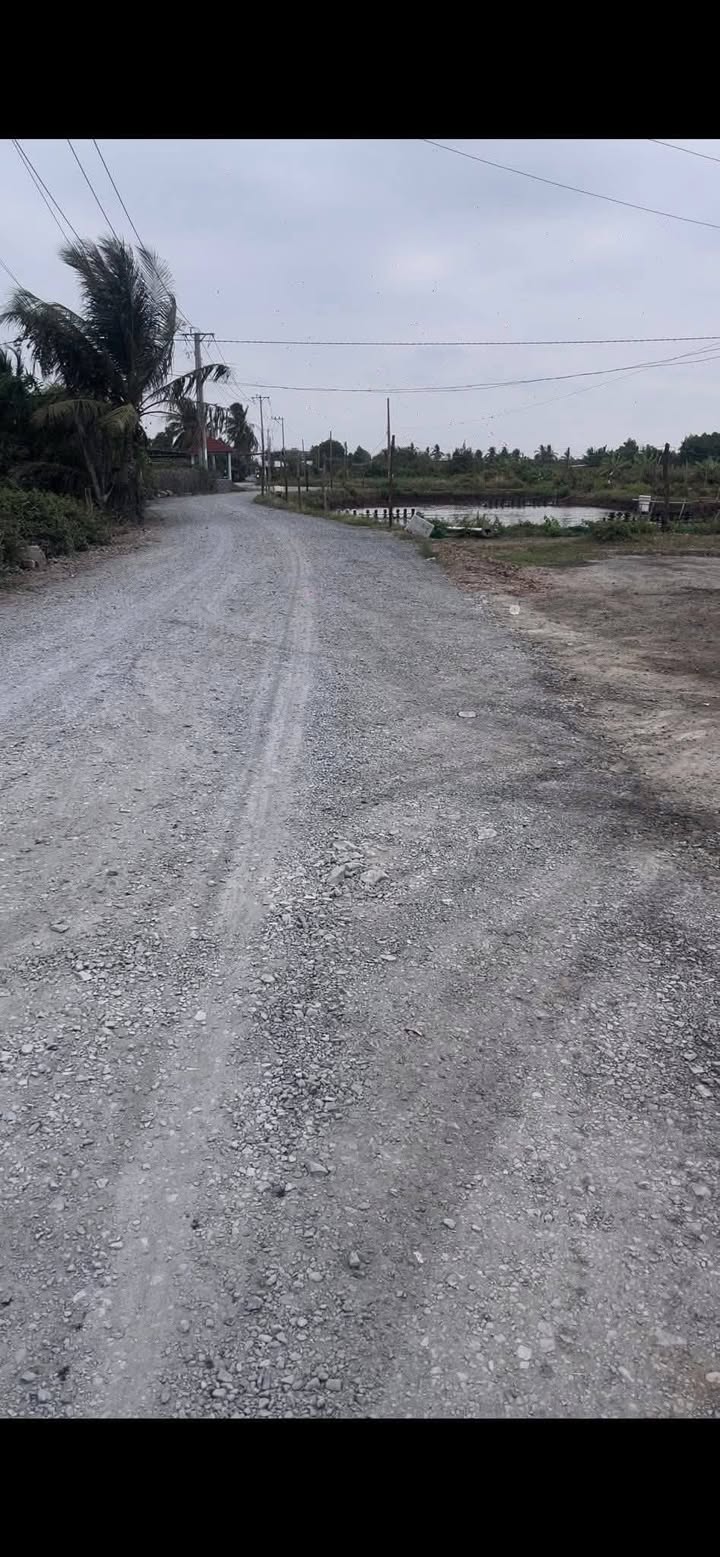 Đất nền Bình Thới, Bình Đại 7000m² giá chỉ 6.3 tỷ - Cơ hội đầu tư không thể bỏ lỡ!