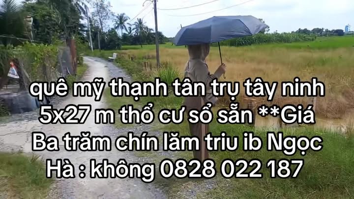 Đất thổ cư Nguyễn Thị Lầu 134m² giá 395 triệu - Cơ hội đầu tư tuyệt vời!