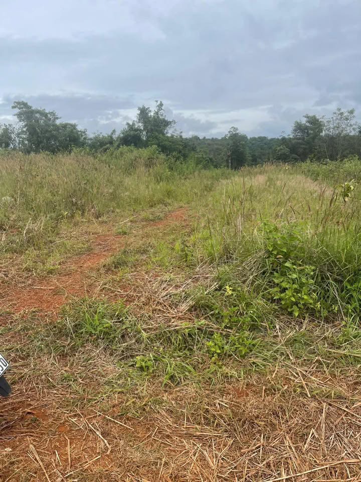 Đất nền thổ cư 7200m² tại xã Đắk Wer - Giá chỉ 850 triệu đồng!