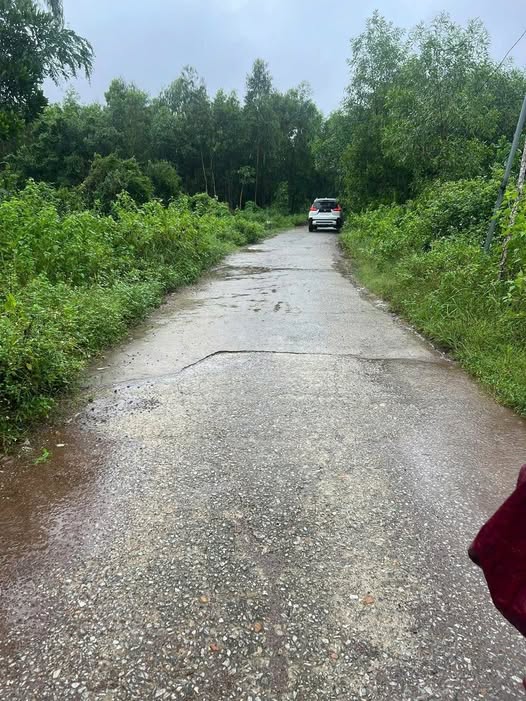 Đất nền Bình Tân Phú 20160m² giá thỏa thuận - Mặt tiền đường bê tông!