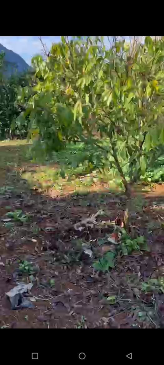 Đất nền Cao Sơn Đà Bắc 1775m² - Cơ hội đầu tư tuyệt vời!