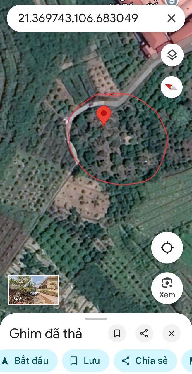 Đất nền Đồng Cốc Lục Ngạn 2000m² giá chỉ 1.1 tỷ - Cơ hội đầu tư tuyệt vời!