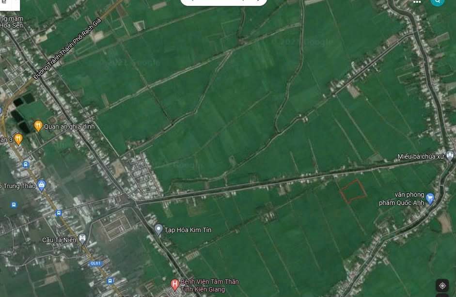 Đất trồng lúa ấp Hòa Thuận, xã Bình An, An Giang 17.818m² - Giá chỉ 200 triệu!