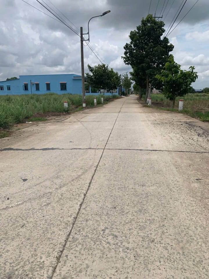 Lô đất lúa 896m² tại Ấp 3, Cần Giuộc - Giá chỉ 1.5 tỷ, thương lượng!