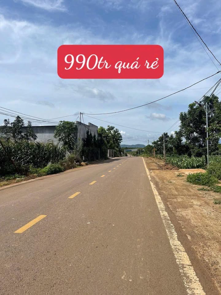 Đất nền đường nhựa liên xã Đức Trọng 250m² giá chỉ 990 triệu - Cơ hội đầu tư hấp dẫn!
