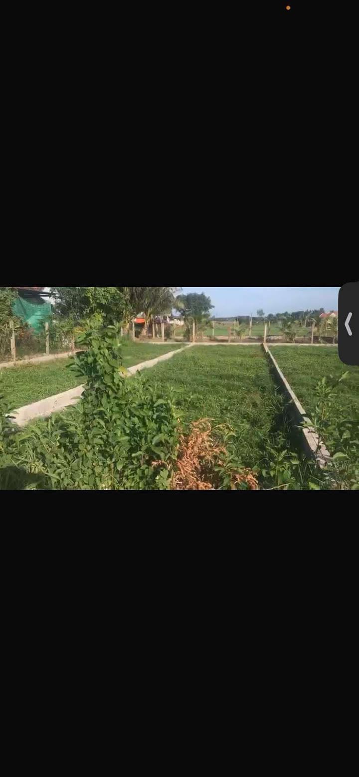 Đất nền Ninh An, Ninh Hòa 125m² giá 390 triệu - Sổ đỏ chính chủ, xây dựng tự do!