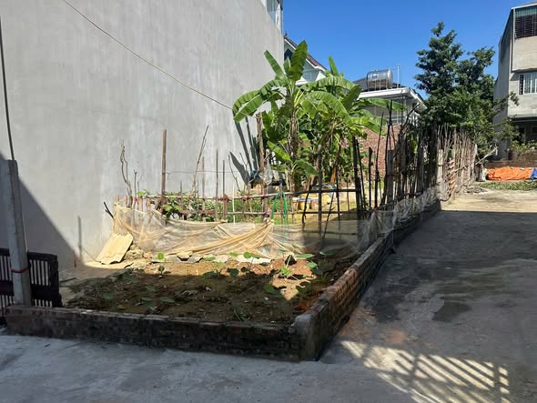 Đất nền phường Tùng Thiện 145m² - Lô góc nở hậu, giá thỏa thuận!